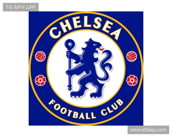 切尔西签里斯詹姆斯六年新篇